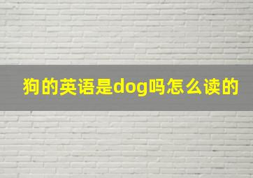 狗的英语是dog吗怎么读的