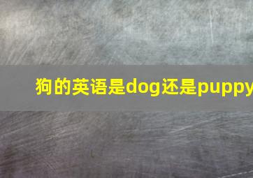 狗的英语是dog还是puppy