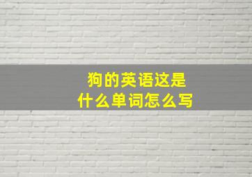 狗的英语这是什么单词怎么写