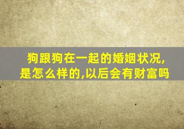 狗跟狗在一起的婚姻状况,是怎么样的,以后会有财富吗