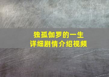 独孤伽罗的一生详细剧情介绍视频