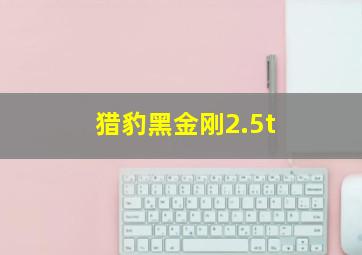 猎豹黑金刚2.5t