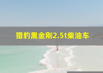 猎豹黑金刚2.5t柴油车