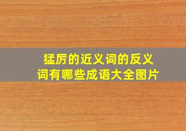 猛厉的近义词的反义词有哪些成语大全图片