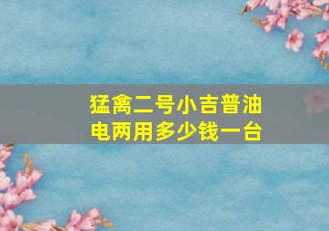 猛禽二号小吉普油电两用多少钱一台