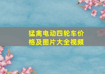 猛禽电动四轮车价格及图片大全视频