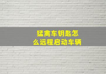 猛禽车钥匙怎么远程启动车辆