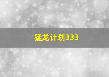 猛龙计划333