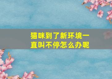 猫咪到了新环境一直叫不停怎么办呢