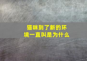 猫咪到了新的环境一直叫是为什么