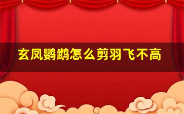 玄凤鹦鹉怎么剪羽飞不高