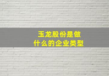 玉龙股份是做什么的企业类型