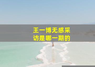 王一博无感采访是哪一期的