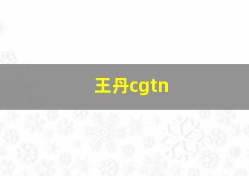 王丹cgtn