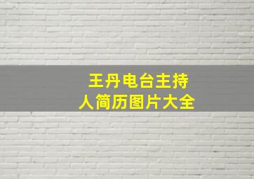 王丹电台主持人简历图片大全