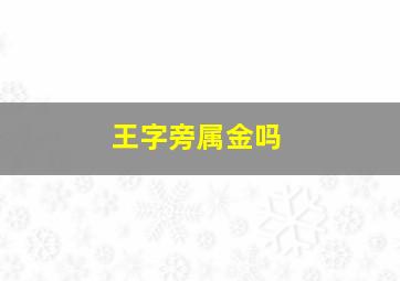 王字旁属金吗