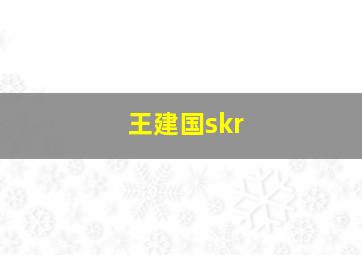 王建国skr