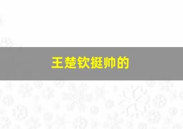 王楚钦挺帅的