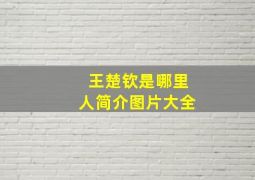 王楚钦是哪里人简介图片大全