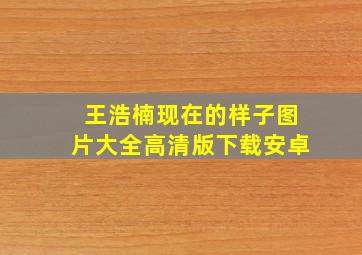 王浩楠现在的样子图片大全高清版下载安卓