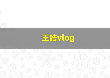 王皓vlog