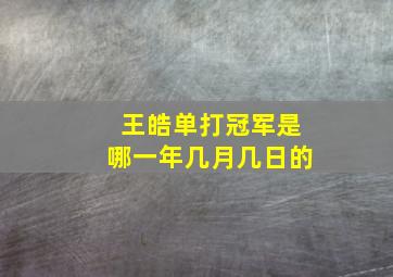 王皓单打冠军是哪一年几月几日的