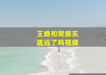 王皓和樊振东疏远了吗视频