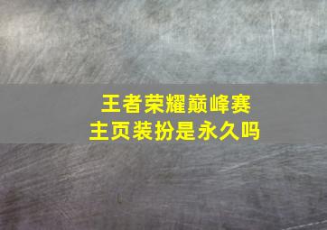 王者荣耀巅峰赛主页装扮是永久吗