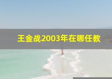 王金战2003年在哪任教