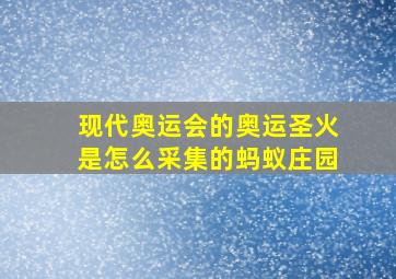 现代奥运会的奥运圣火是怎么采集的蚂蚁庄园