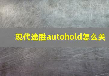 现代途胜autohold怎么关