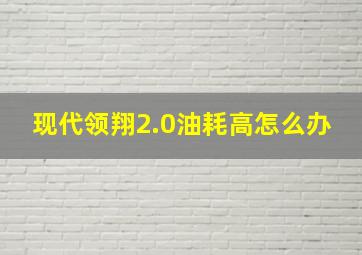 现代领翔2.0油耗高怎么办