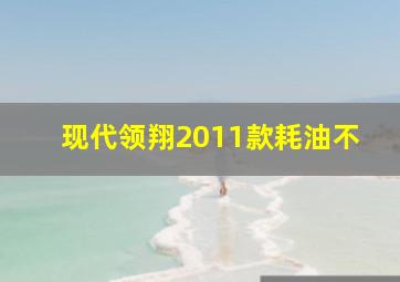 现代领翔2011款耗油不