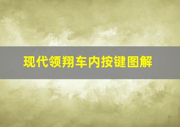 现代领翔车内按键图解