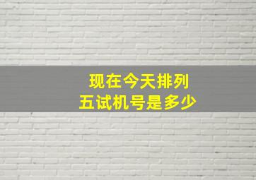 现在今天排列五试机号是多少