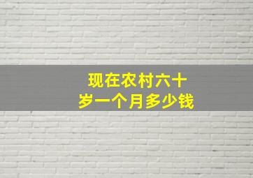 现在农村六十岁一个月多少钱