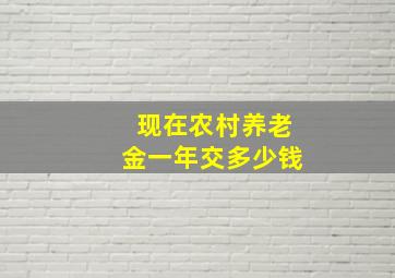 现在农村养老金一年交多少钱