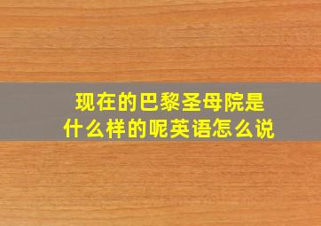 现在的巴黎圣母院是什么样的呢英语怎么说