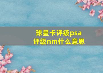 球星卡评级psa评级nm什么意思