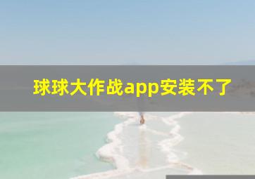 球球大作战app安装不了