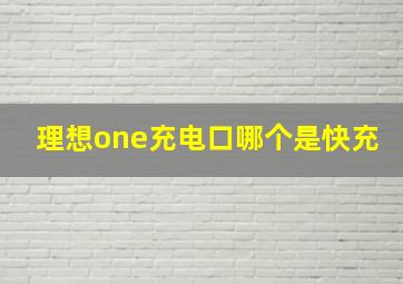 理想one充电口哪个是快充