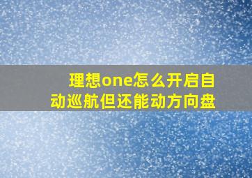 理想one怎么开启自动巡航但还能动方向盘