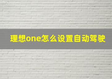 理想one怎么设置自动驾驶