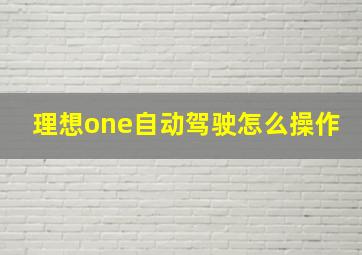 理想one自动驾驶怎么操作