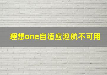 理想one自适应巡航不可用