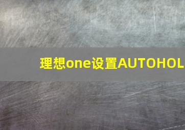 理想one设置AUTOHOLD