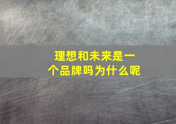 理想和未来是一个品牌吗为什么呢