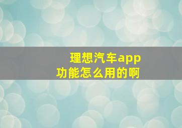 理想汽车app功能怎么用的啊