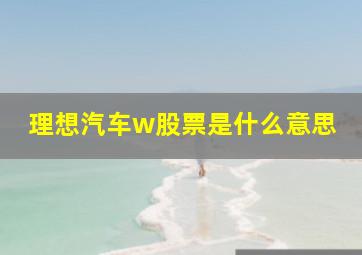 理想汽车w股票是什么意思