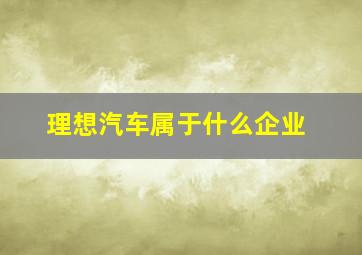 理想汽车属于什么企业